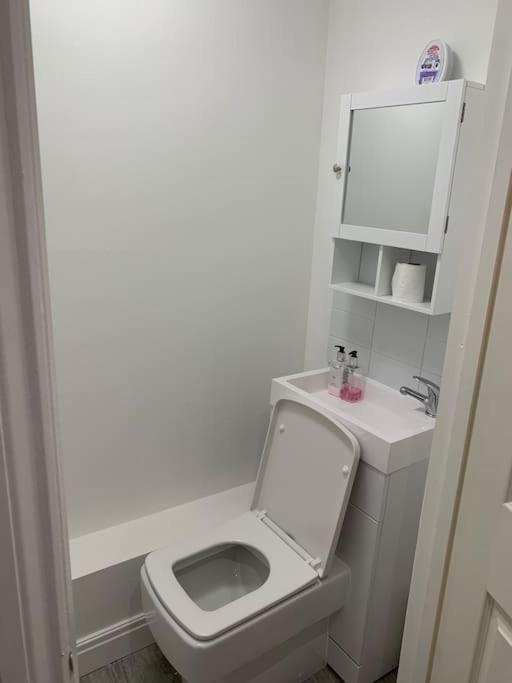 Beautiful 5Bedroom Hse-Contractor/Family/Corporate 达特福德 外观 照片